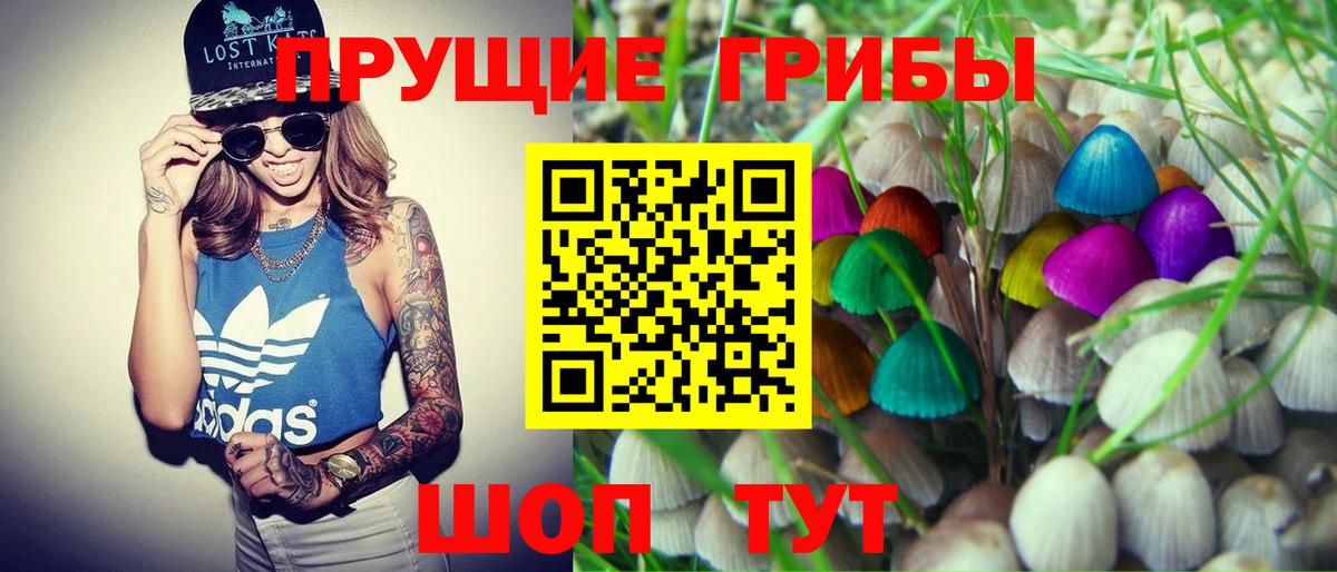 Галлюциногенные грибы прущие грибы Сатка