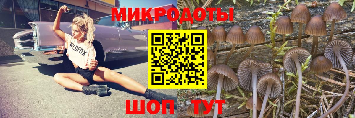 Сатка  Псилоцибиновые грибы GOLDEN TEACHER  как найти наркотики  Вход с VPN 